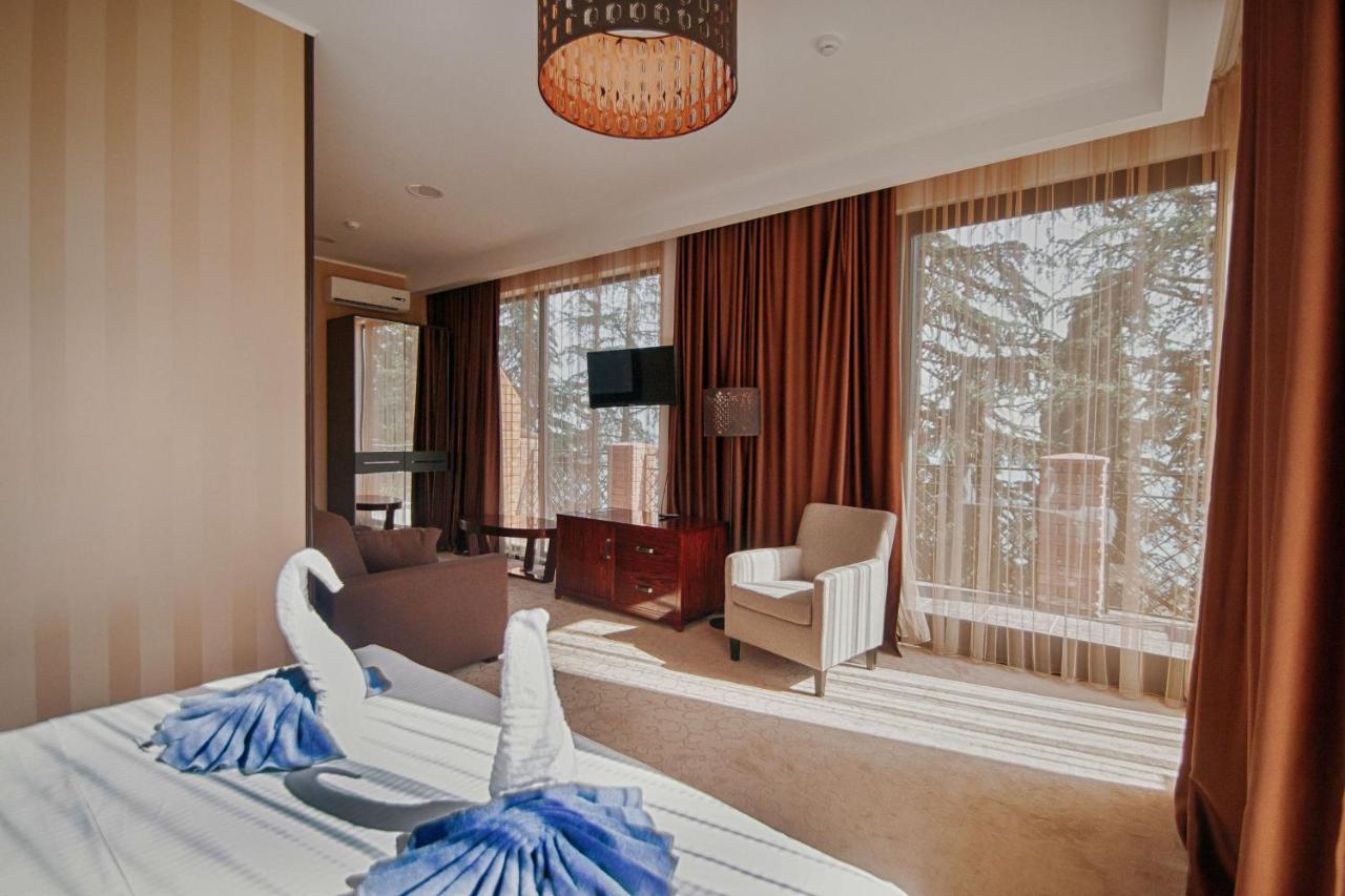 Afon Resort Hotel New Athos 客房 照片